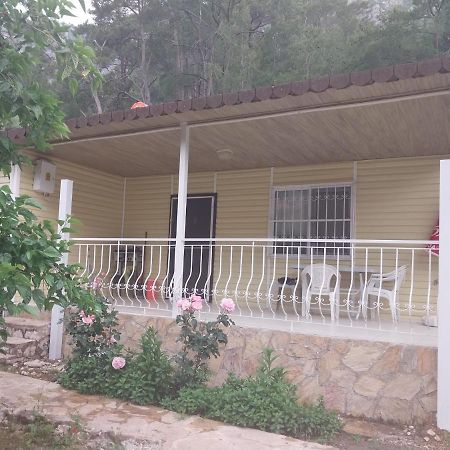 Village Garden Pansiyon Antalya Luaran gambar