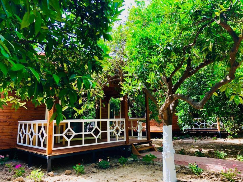 Village Garden Pansiyon Antalya Luaran gambar