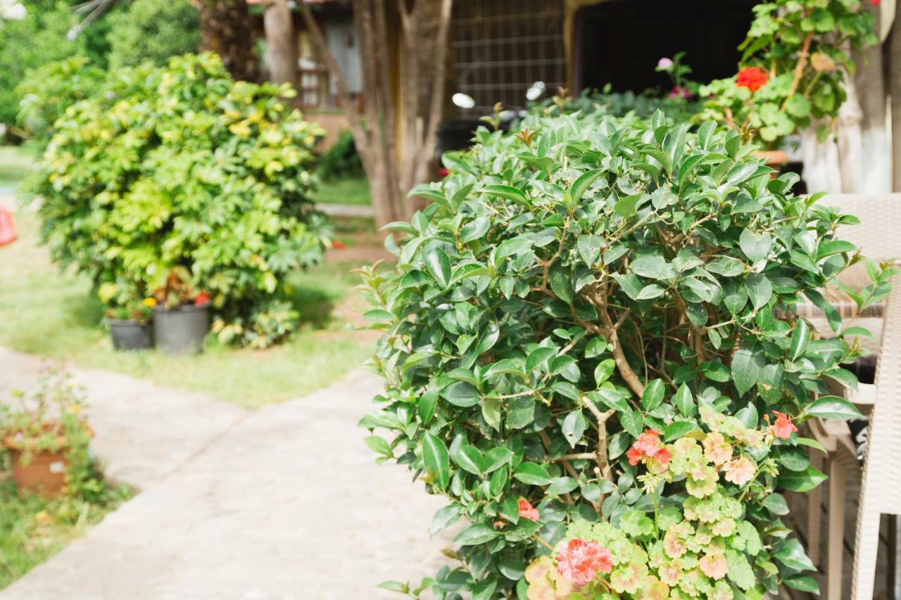 Village Garden Pansiyon Antalya Luaran gambar