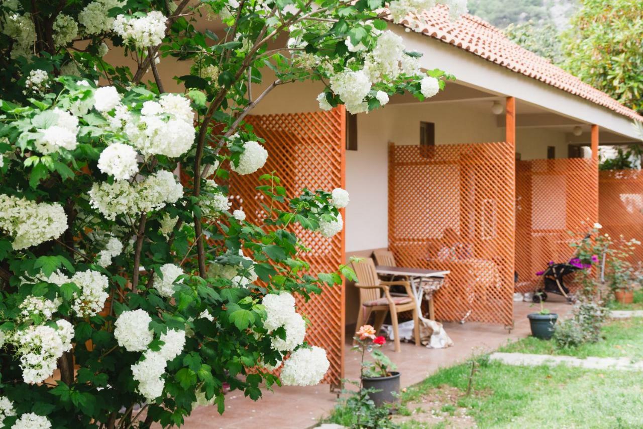 Village Garden Pansiyon Antalya Luaran gambar
