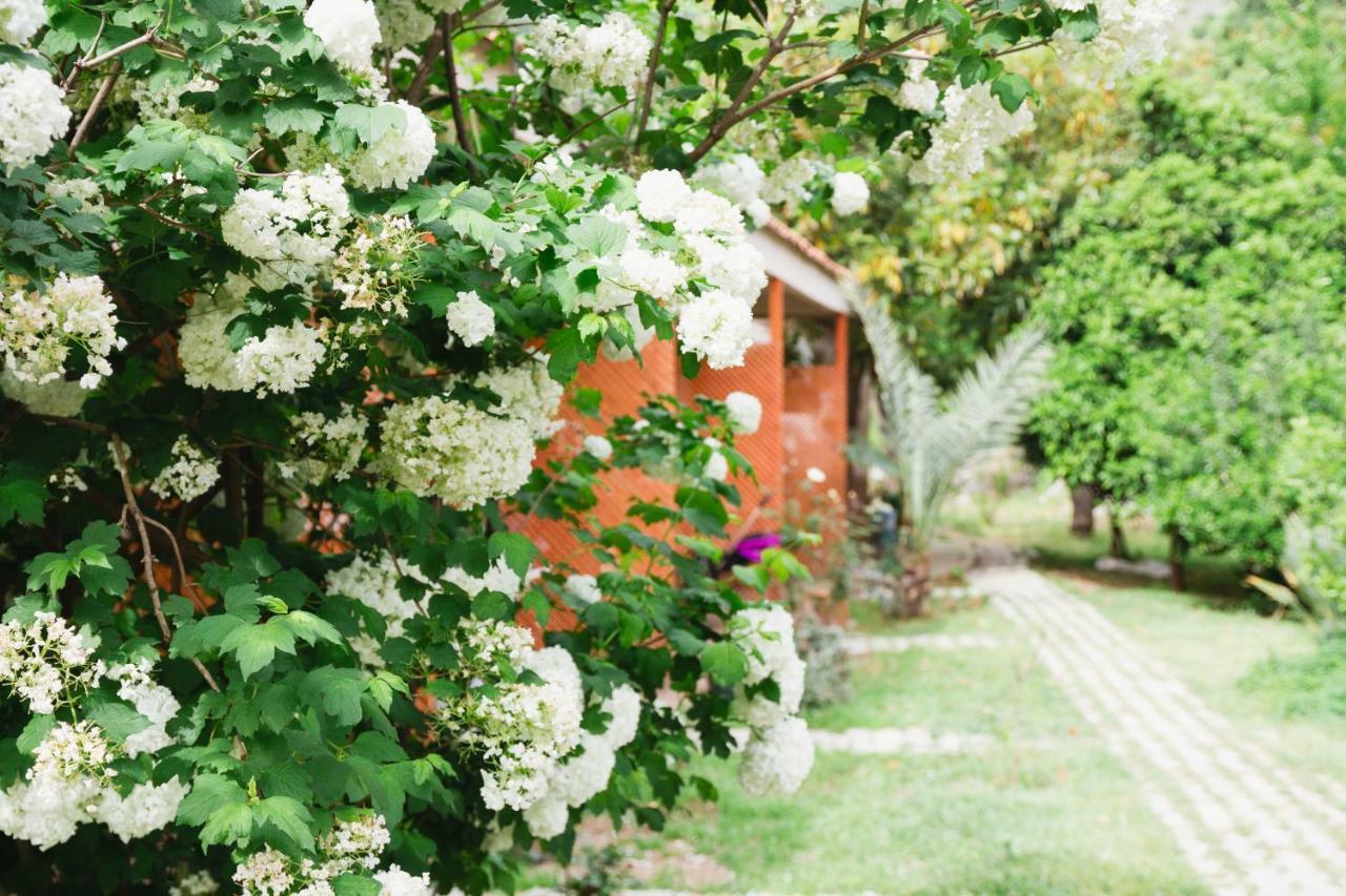 Village Garden Pansiyon Antalya Luaran gambar